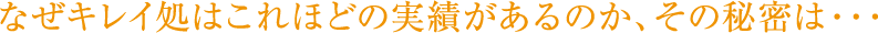 なぜキレイ処はこれほどの実績があるのか、その秘密は・・・